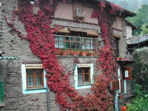  Cozy apartment in Robledillo de Gata 45 m² with garden view in Robledillo de Gata