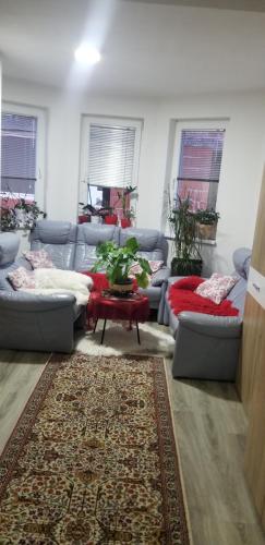 Apartmani Kadunic - image 10