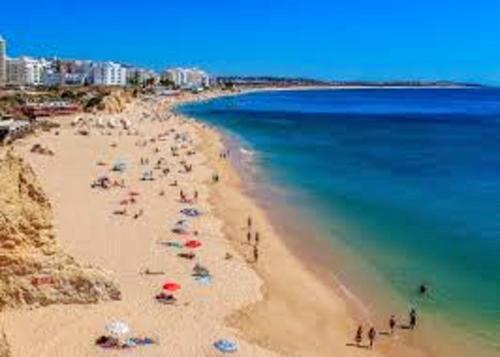 View, Cozy house with garden in Messines 149 m² mountain view in São Bartolomeu De Messines