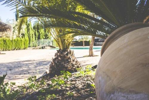 Charming house in Estepa mountain view in Lora de Estepa
