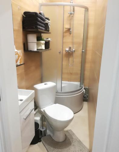 Čaka Non-smoking Apt and Free Parking, Riga (foto 9)