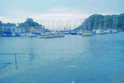Verity and Ilfracombe Harbour View - image 7