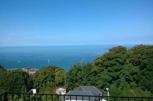 Verity and Ilfracombe Harbour View Ilfracombe