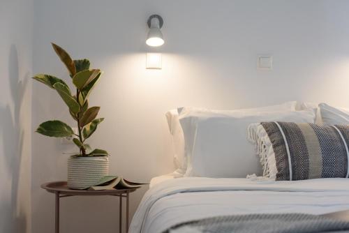 Aquarius Beach Eco-Hotel - image 2