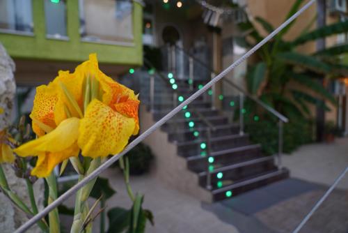 Lilalo Ηotel - image 2