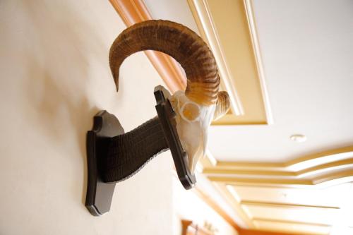 Hotels Image