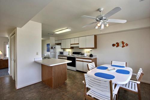 Clownfish & Cobia Clownfish & Cobia