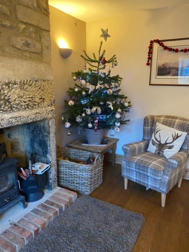 Spaniel Cottage with views of Ham hill, Stoke sub Hamdon