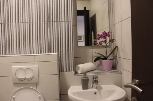 Apartments Balabusic - image 9