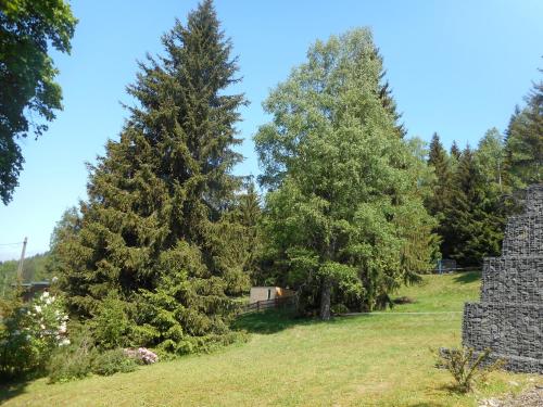 Pension U Jelinka - image 2