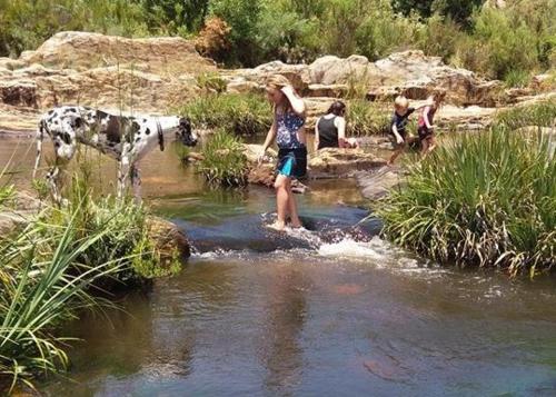 Eagle Falls Country Lodge & Adventures