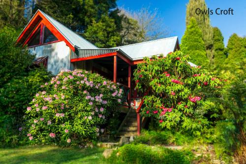 Observatory Cottages