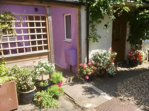 Picture of Cute Self-Contained Guest Room With Ensuite And Private Decked Porch In Glastonbury