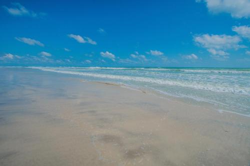 Ocean Beach Club - image 5