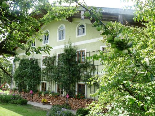 Sprenghof - Apartment - Breitbrunn am Chiemsee