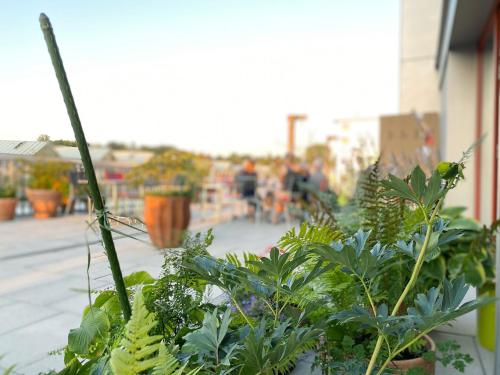A szálláshely kívülről, Gästehaus am Lagerplatz (Gastehaus am Lagerplatz) in Winterthur