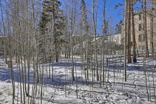 Luxe Central Silverthorne Condo Ski and Hike Nearby - image 2