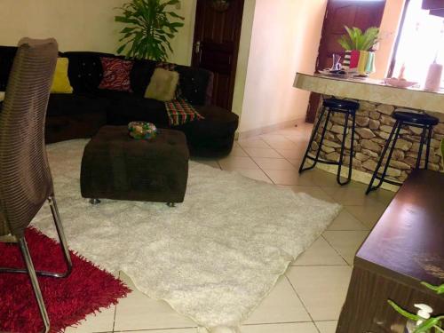 Ellina properties