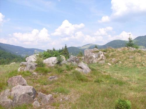 Nice chalet with dishwasher, in the High Vosges