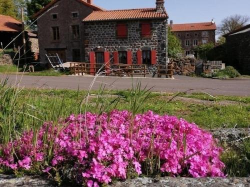 Gîte Cayres, 3 pièces, 4 personnes - FR-1-582-312 gîte à louer Preyssac