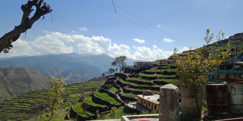 SEWA Atithi Rantrebar Homestays Auli