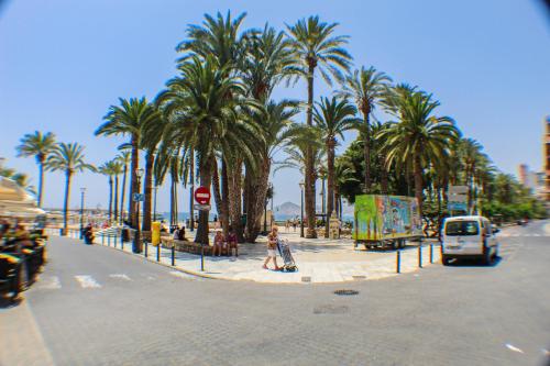  DUPLEX PUERTO San vicente in 03502 Benidorm