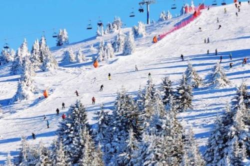 Brvnara Brzece Kopaonik