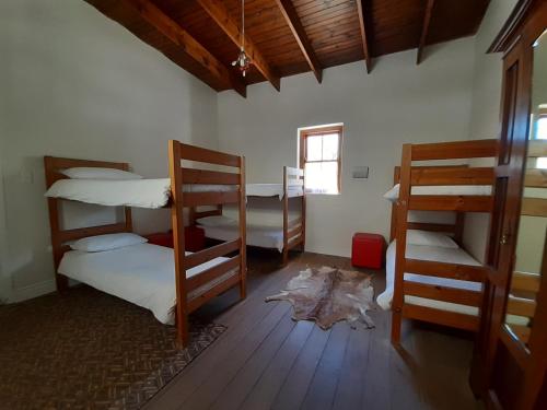 The Owlhouse Backpackers in Nieu-Bethesda