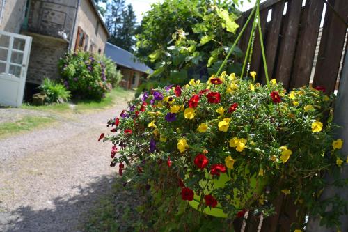 Ambiance Morvan photo 22