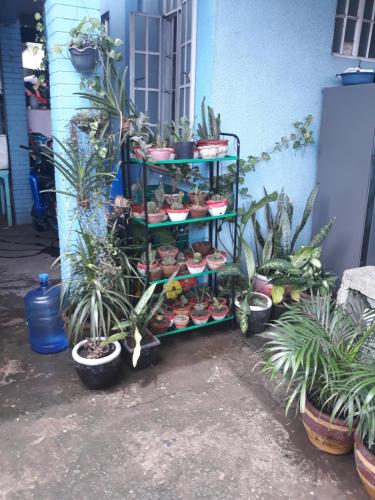 CVBNB ELYU GUESTHOUSE