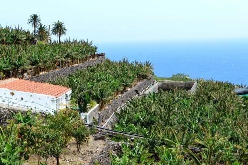 La Cuadra - image 7