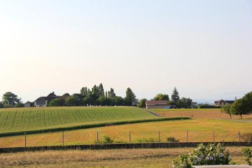  Comfortable studio in Bevaix with mountain view - 30 m² + Spa in Bevaix