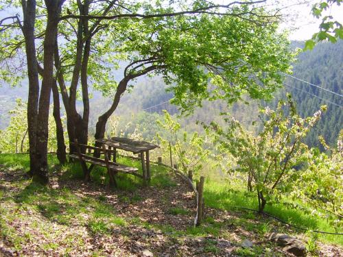 Comfortable House in Bibbiena + Pool