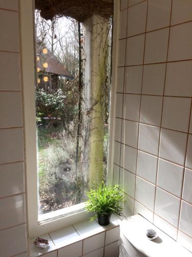 House with 2 bedrooms in Saint Branchs with shared pool furnished garden and WiFi - main image