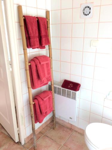 House with 2 bedrooms in Saint Branchs with shared pool furnished garden and WiFi - image 8