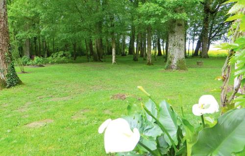 House with 2 bedrooms in Saint Branchs with shared pool furnished garden and WiFi - image 14