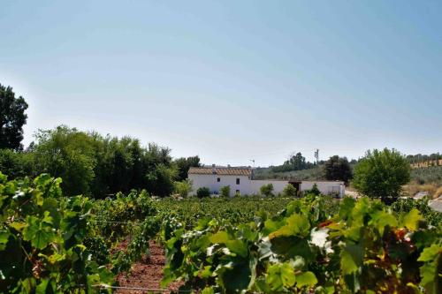 Elegant Villa in Montilla with Private Pool in Montilla