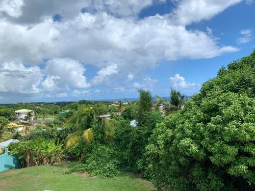 Maison d'une chambre a Le Gosier a 800 m de la plage avec vue sur la mer jardin clos et wifi