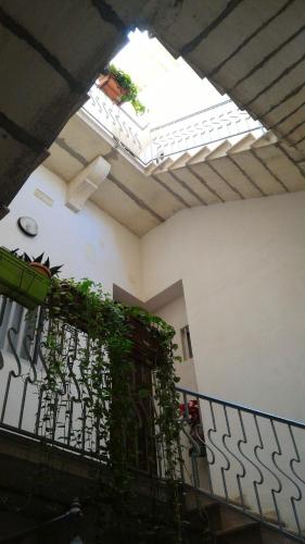 Apartment with 3 bedrooms in Trapani with wonderful city view furnished balcony and WiFi 100 m from the beach - image 10