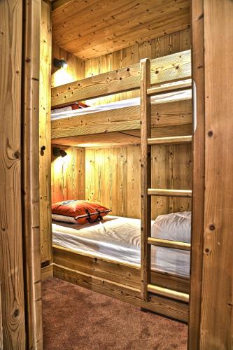 Apartment with 2 bedrooms in Les Deux Alpes with wonderful mountain view terrace and WiFi 50 m from the slopes - image 5
