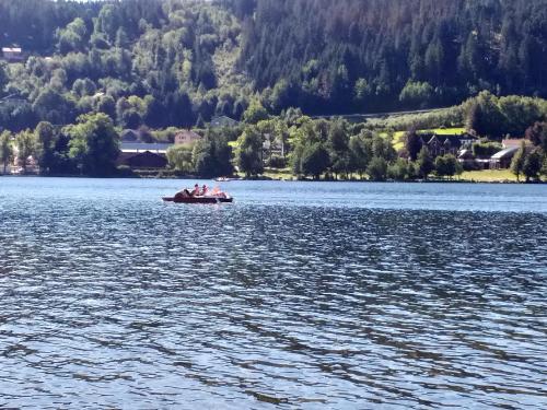 Studio in Gerardmer with wonderful lake view 800 m from the slopes - image 11