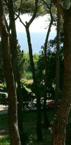 Studio at Castiglioncello 400 m away from the beach with sea view shared pool and enclosed garden