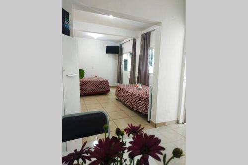 Neza apartamento independiente