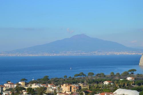 Hotel Cristina - image 11