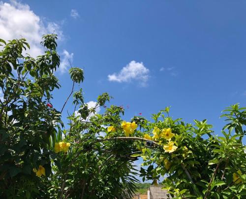 Miyakojima Guest House Citrus - Vacation STAY 09470v