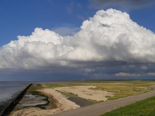 WaddenFestijn