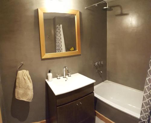 One-Bedroom Apartment image 8