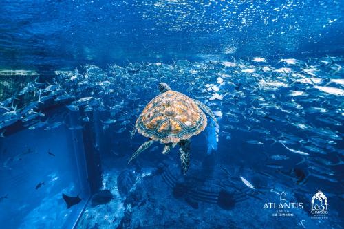 Atlantis Sanya