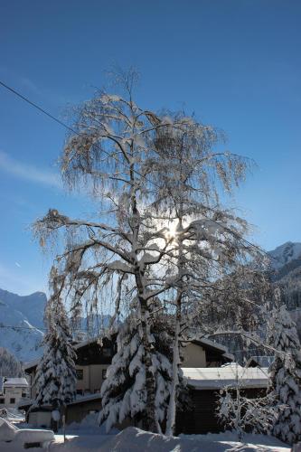 Bäckerei Schranz Bäckerei Schranz