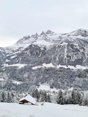 Le White - image 9